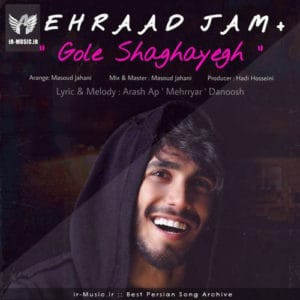 دانلود آهنگ گل شقایق از مهراد جم