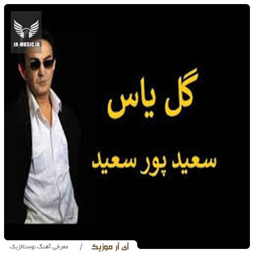دانلود آهنگ گل یاس از سعید پور سعید