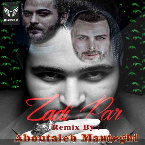 دانلود ریمیکس زدی پر از ابوطالب منطقی