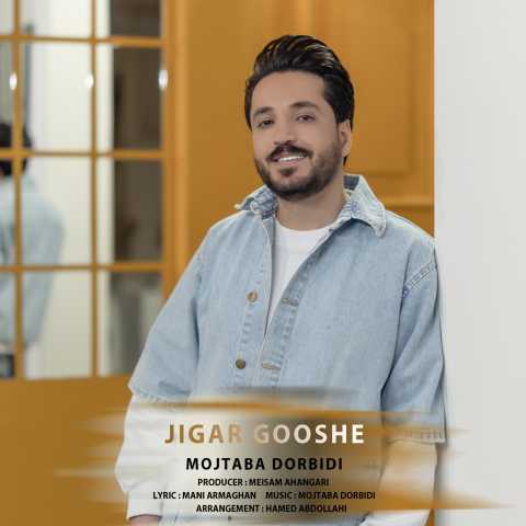 دانلود آهنگ جیگر گوشه مجتبی دربیدی